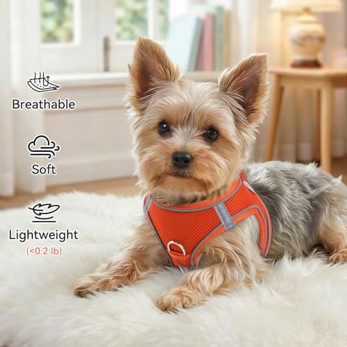 Joytale Step-in Dog Harness, Soft Breathable Mesh - Image 4