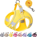 Dog Harness for Small Medium Sized Dog, Puppy Harness and Leash Set Training by Aecllcea