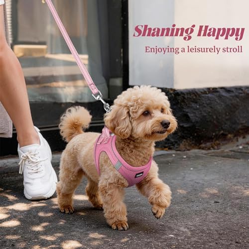 No Pull Dog Puppy Harness and Leash Set Reflective Mesh Vest XX-Small - Image 6