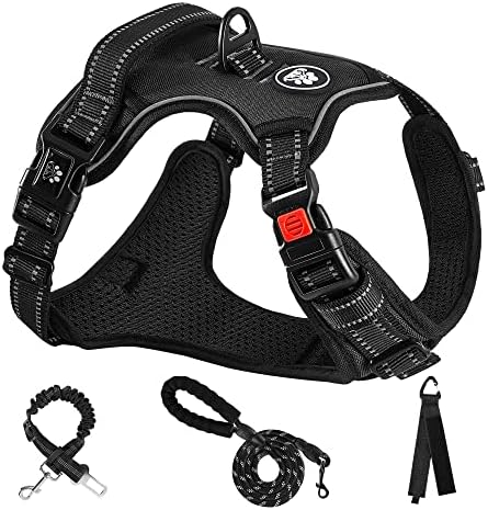 NESTROAD Dog Harness for Small Sized Dog, No Pull Dog Vest Harness Set by NESTROAD