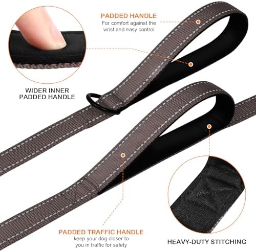 Joytale Dog Leash for Large Dogs that Pull, Double Handle - Image 2