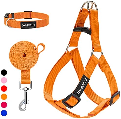 No Pull Dog Harness, Leash & Collar Set, Adjustable Step-in Vest by IPRAVOCI