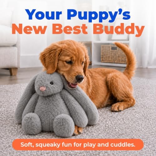 Best Pet Supplies Bunny Buddy Squeaky Plush Dog Toy - Image 2