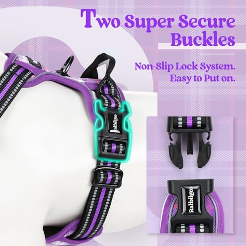 rabbitgoo Dog Harness, No Pull for Small Dogs - Image 3