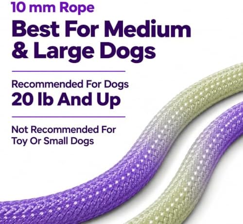 Hands Free Dog Leash, Double Handle Leash 5.5FT Purple-Green - Image 7