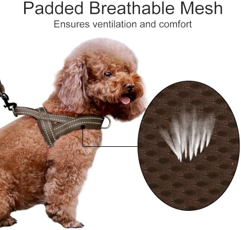Plutus Pet No Pull Dog Harness for Small Dogs, Breathable Mesh Padded - Image 3