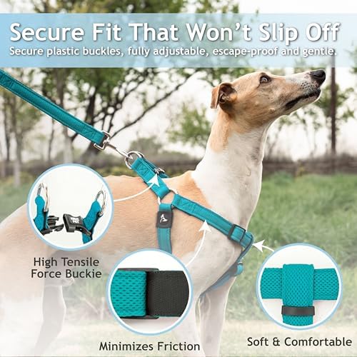 Kruz No Pull Dog Harness Heavy-Duty Pet Harness - Image 3