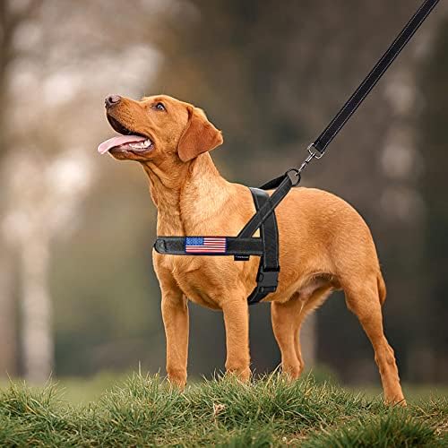 Annchwool No Pull Dog Harness - Image 6