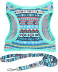 Step in Air Dog Harness Leash Set- All Weather Reflective No-Pull Padded Mesh by MOONPET