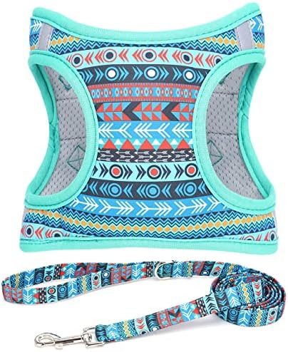 Step in Air Dog Harness Leash Set- All Weather Reflective No-Pull Padded Mesh by MOONPET