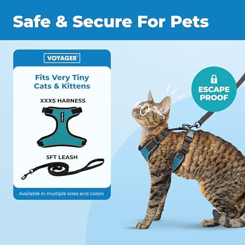 Voyager Escape-Proof Step-in Harness & Leash - Image 2