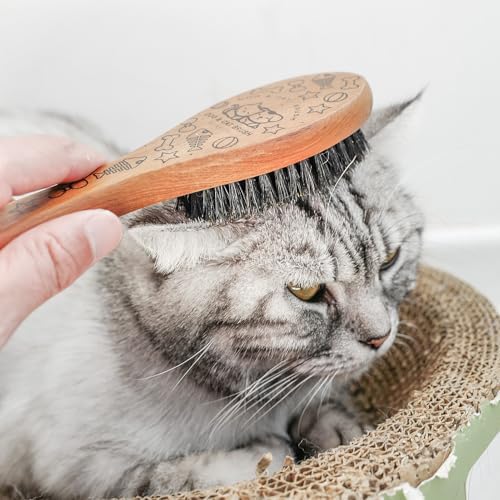 Soft Cat and Dog Grooming Brush - Image 7