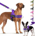 Lukovee No Pull Dog Harness and Leash Set, Soft Padded by Lukovee