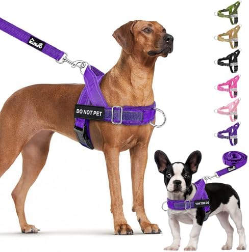 Lukovee No Pull Dog Harness and Leash Set, Soft Padded by Lukovee