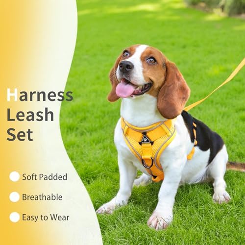 Dog Harness Small Sized Dog Pet Vest - Image 2