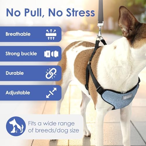 AKC Premium Padded Step-in Dog Harness – Soft Comfort Fit - Image 2