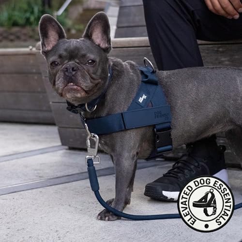 Dog Friendly Co. Front D-Ring Harness Attachment - Image 4