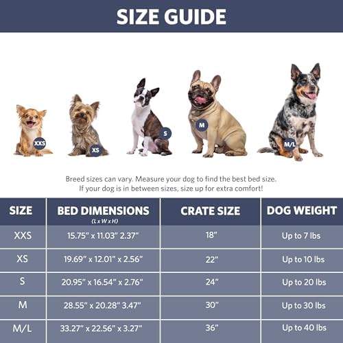 QuietTime by MidWest 24" Dog Crate Bolster Bed, Fashion Blue, Small Breeds - Image 6