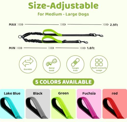 Double Dog Leash - Image 2