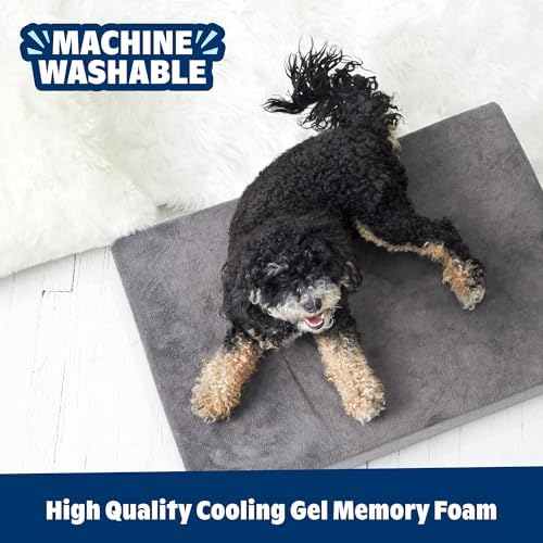 BarkBox Orthopedic Dog Bed - Image 5
