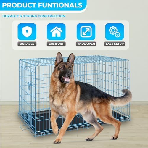 FDW | 42" Foldable Metal Dog Crate | Blue | Cage - Image 2
