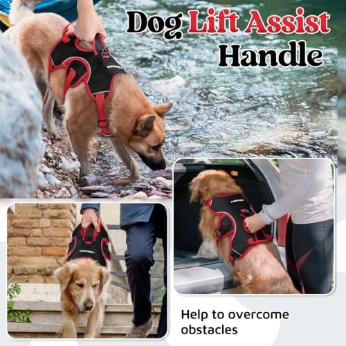 rabbitgoo Escape Proof Dog Harness - Image 5