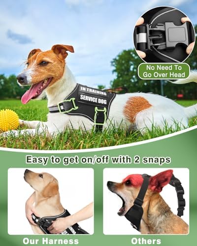 Service Dog Vest Harness and Leash Set+10 Patches - Image 3