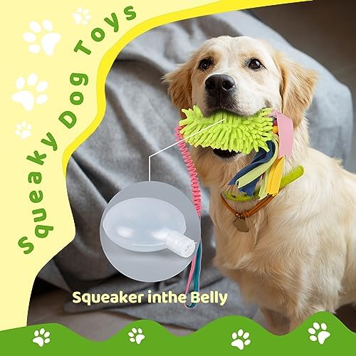 wodoca Dog Tug Toys - Image 5