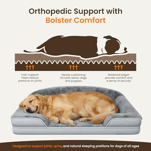 Orthopedic Dog Bed for Extra Large Dogs - Image 4