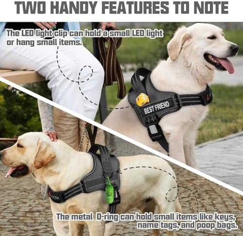 AUROTH Dog Harness and Leash Set - Image 2
