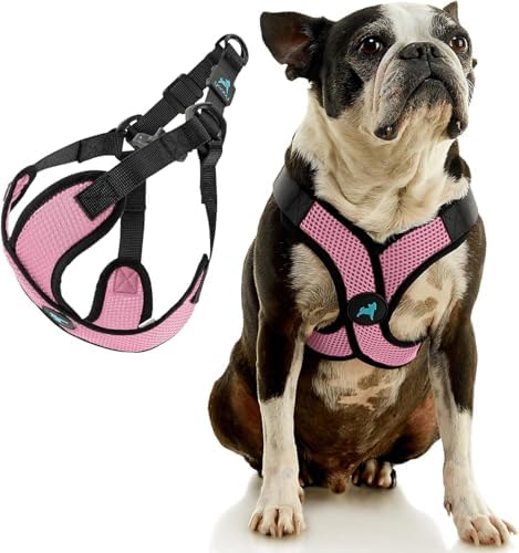 Gooby Comfort X Step-in Lite Harness, Choke-Free - Image 3