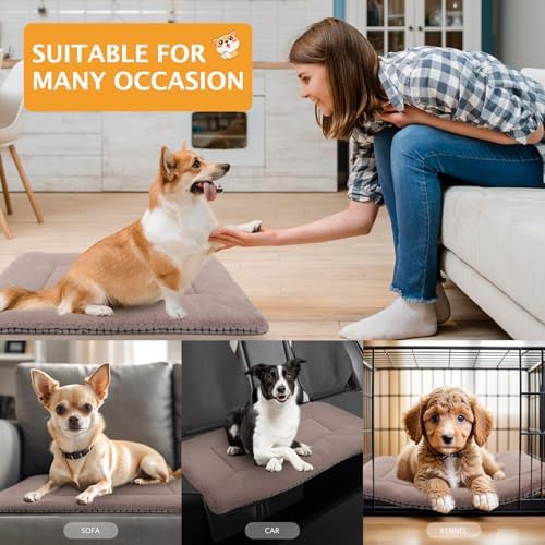 Reversible Dog Bed Mat with Plush and Corn Velvet, Soft Warm Pet Cushion - Image 2