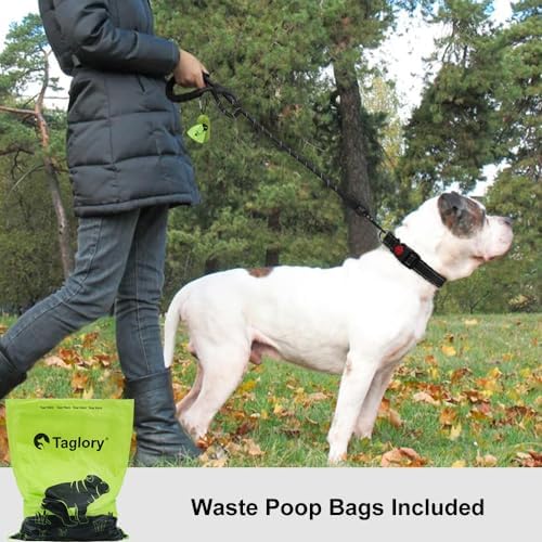 Taglory Rope Dog Leash for Medium Large Dogs, 4 FT Padded Handle - Image 2