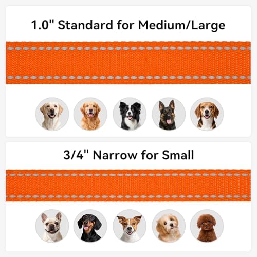 Joytale Reflective Dog Leash for Small Dogs, 5 FT x 3/4" - Image 6