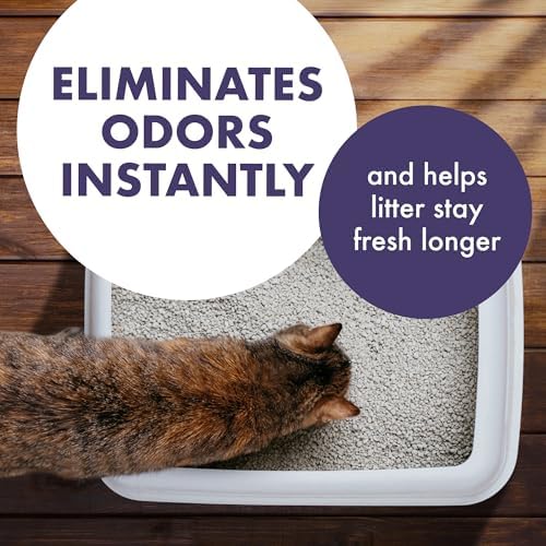 ARM & HAMMER Forever Fresh Cat Litter Deodorizer, 30 oz - Image 2