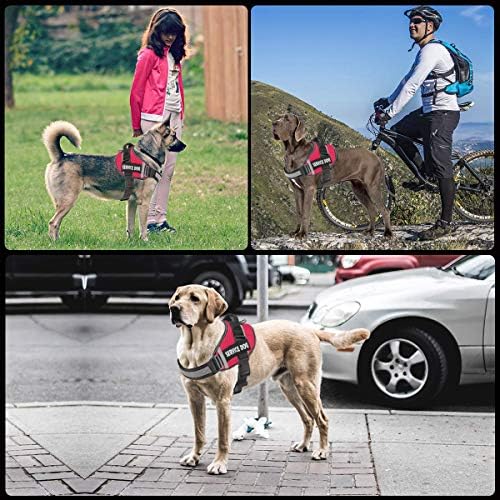 JSXD Dog Harness, No-Pull Service Dog Harness - Image 5