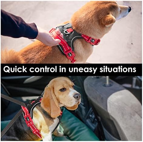 PHOEPET No Pull Dog Harness, Unique Colors Reflective Adjustable Dog Vest - Image 5