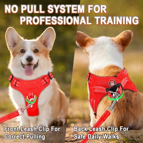 BARKBAY Small Dog Harness, No Pull Puppy Harness, Step-in Dog Vest - Image 5