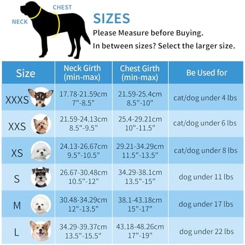 AIITLE Step in Dog Harness & Leash Set - Image 5