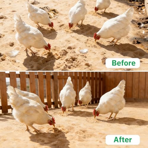 4 Pack Chicken Poop Scooper - Image 5