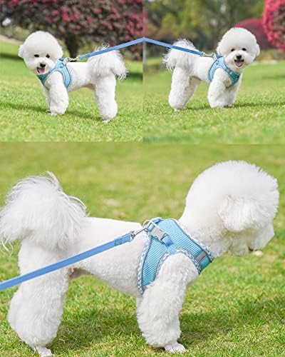 Petank Step in Dog Harness No Pull and Leash - Image 2