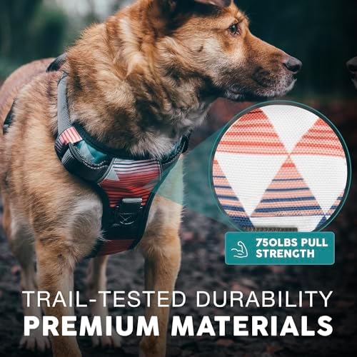 Embark No Pull Dog Harness, Reflective Adjustable Training Vest, No Choke - Image 5