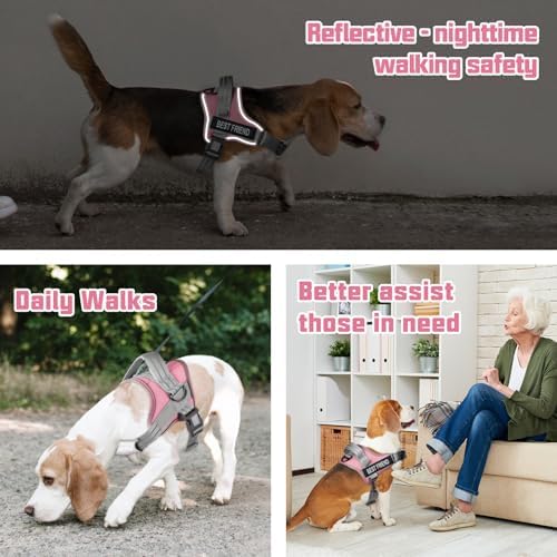 AUROTH Dog Harness and Leash Set Small Sized Dog, No Pull Escape Proof Vest - Image 2