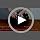 Timos Dog Harness for Large, Reflective No Pull Vest - Image 7