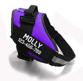 Custom No Pull Dog Harness by PawPawify