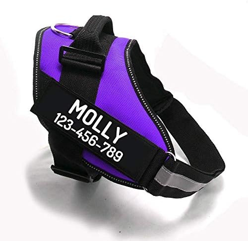 Custom No Pull Dog Harness by PawPawify