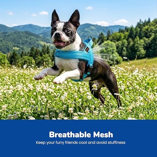 Didog No Pull Dog Harness for Small Dogs, Breathable Mesh Padded - Image 2