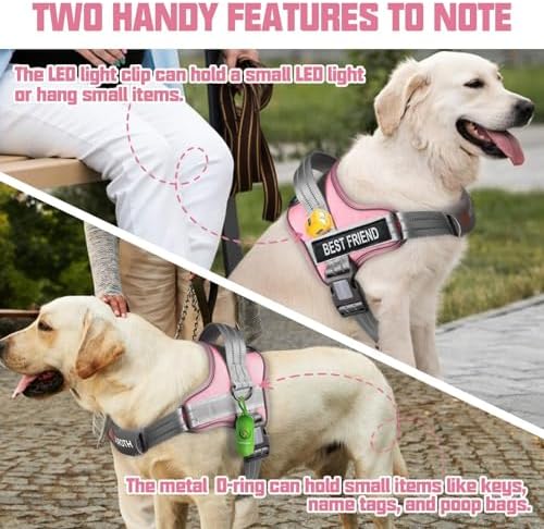 AUROTH Dog Harness and Leash Set - Image 2