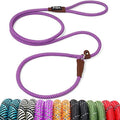 Fida Durable Slip Lead Dog Leash, 6 FT x 3/8" Dog Training Leash by Fida