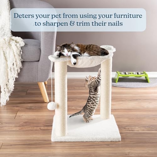 19-Inch Cat Scratching Post - Image 4